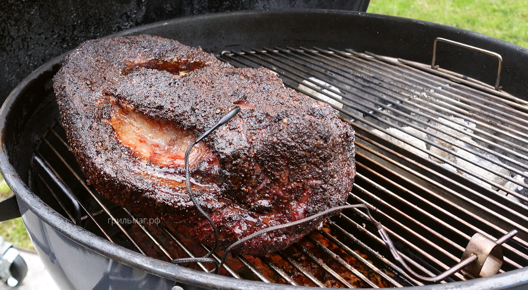 Термометры для гриля: профилактика неисправностей щупов щуп в брискете на гриле