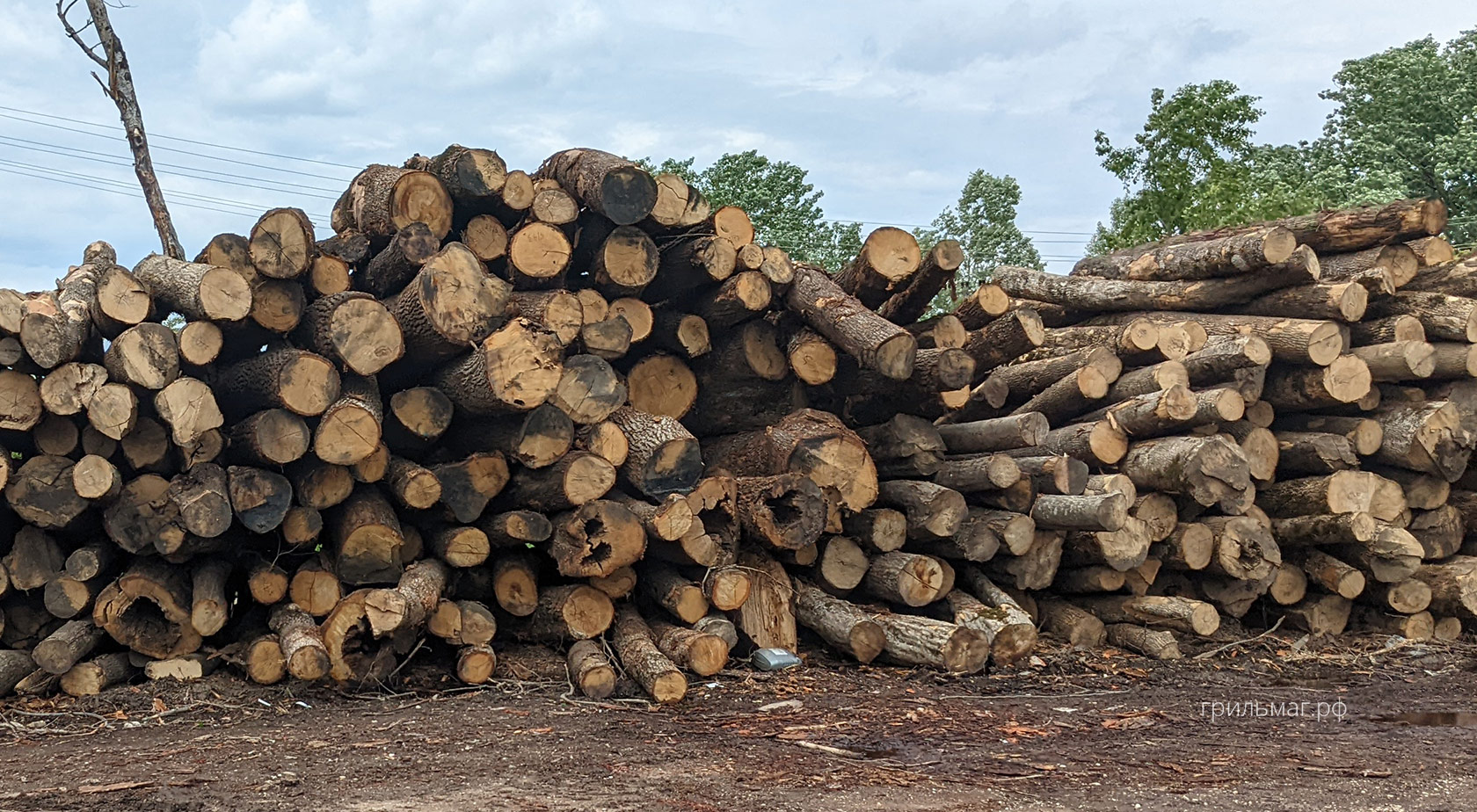 Пеллеты для гриля: как выбрать бревна