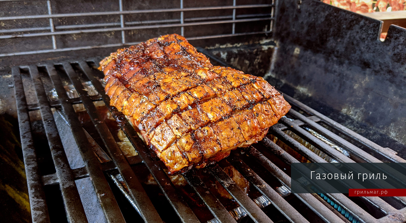 Какой гриль лучше купить как первый? свинина в газовом гриле