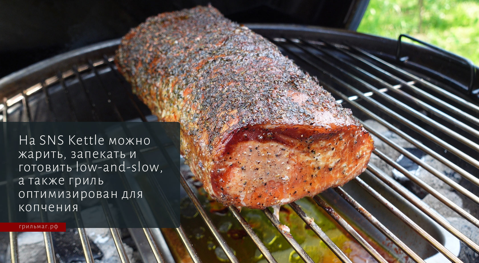 Угольные грили SnS: чем отличаются Kettle и Kamado