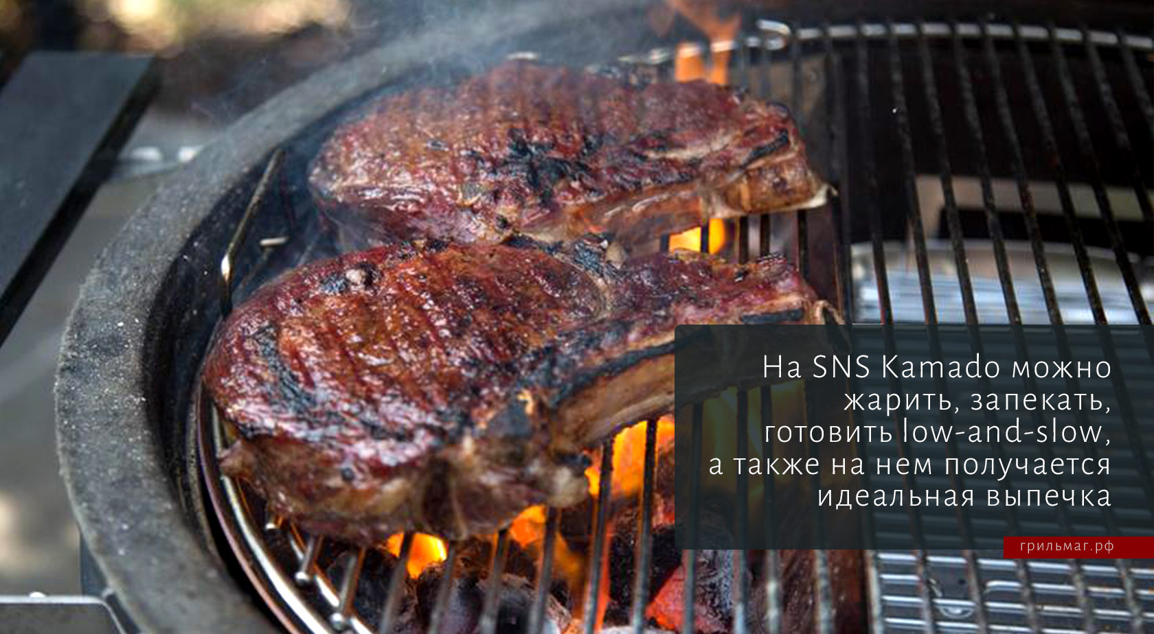 Угольные грили SnS: чем отличаются Kettle и Kamado