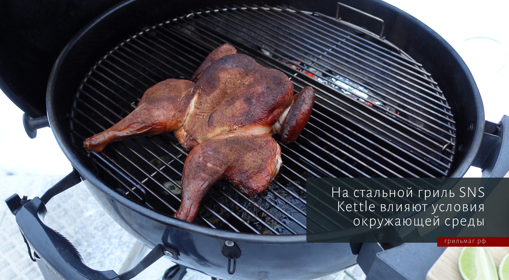 Угольные грили SnS: чем отличаются Kettle и Kamado